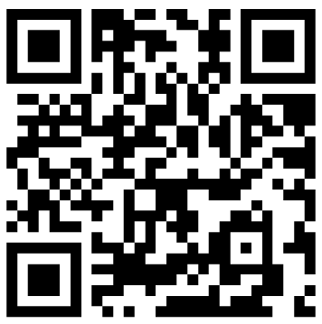 Invoice payment QR code